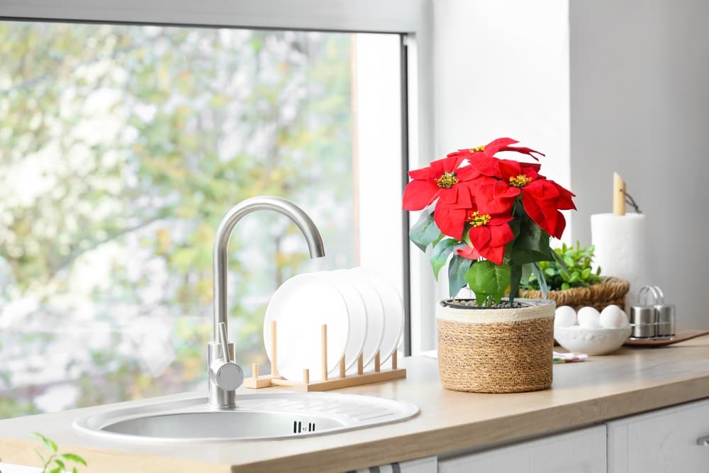 Reset your home this January